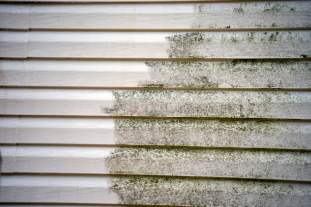 Siding for Commercial Buildings in Wahoo, NE