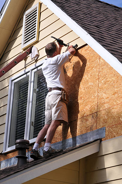 Best Residential Vinyl Siding Installation  in Wahoo, NE